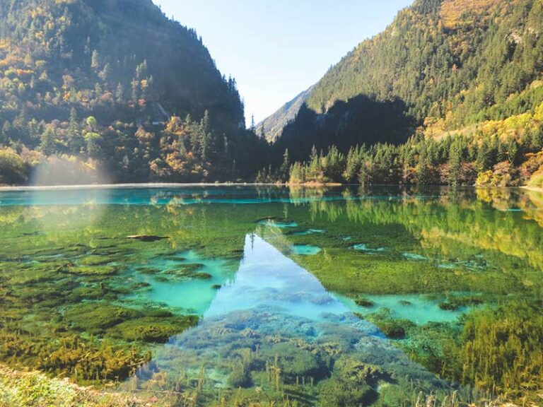 7 Reasons Cruising Is a Great Way to See the World 7 Reasons Cruising Is a Great Way to See the World
